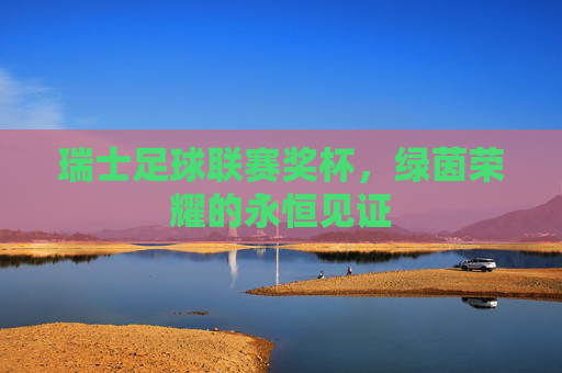 瑞士足球联赛奖杯,绿茵荣耀的永恒见证
