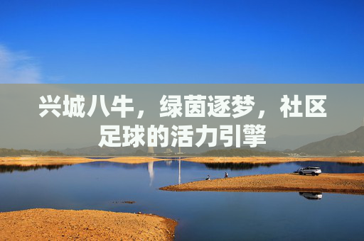 兴城八牛，绿茵逐梦，社区足球的活力引擎