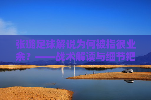 张璐足球解说为何被指很业余?——战术解读与细节把握的明显短板剖析,张璐足球解说为何被指很业余?——战术解读与细节把握的明显短板剖析