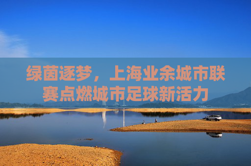 绿茵逐梦，上海业余城市联赛点燃城市足球新活力