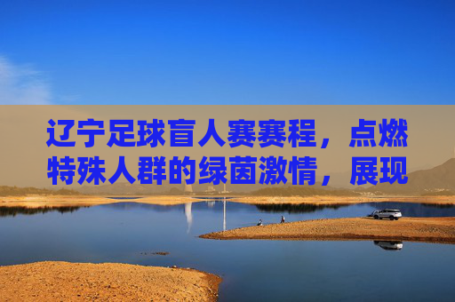 辽宁足球盲人赛赛程,点燃特殊人群的绿茵激情,展现体育公平与包容