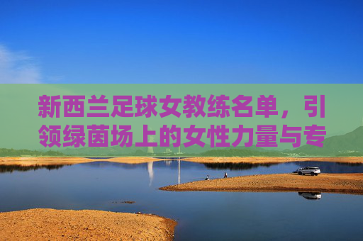 新西兰足球女教练名单,引领绿茵场上的女性力量与专业精神