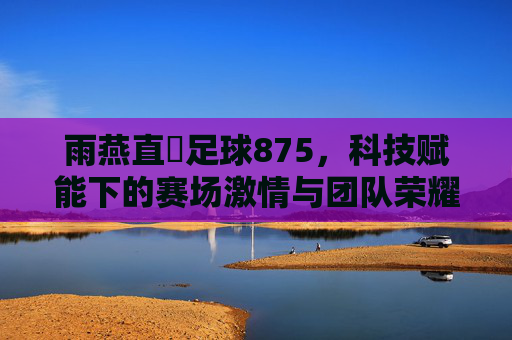 雨燕直墦足球875,科技赋能下的赛场激情与团队荣耀