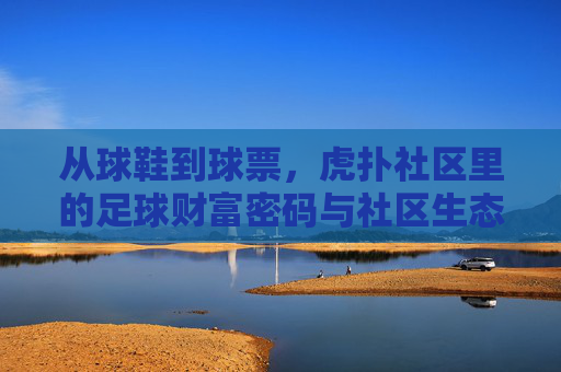 从球鞋到球票，虎扑社区里的足球财富密码与社区生态