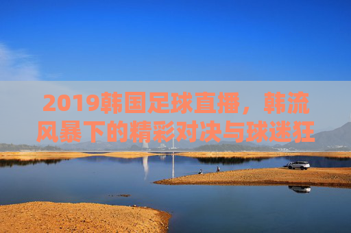 2019韩国足球直播，韩流风暴下的精彩对决与球迷狂欢