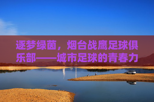 逐梦绿茵,烟台战鹰足球俱乐部——城市足球的青春力量与传承之路