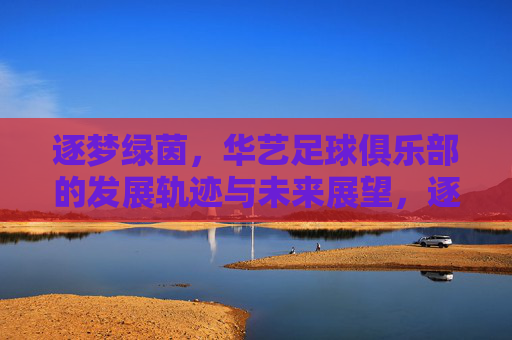 逐梦绿茵,华艺足球俱乐部的发展轨迹与未来展望,逐梦绿茵,华艺足球俱乐部的发展轨迹与未来展望