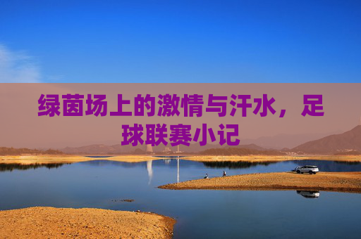 绿茵场上的激情与汗水,足球联赛小记