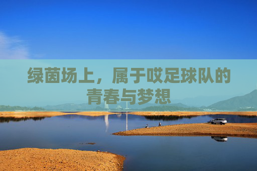绿茵场上,属于哎足球队的青春与梦想