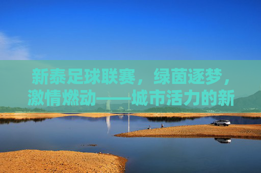 新泰足球联赛，绿茵逐梦，激情燃动——城市活力的新坐标