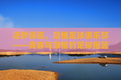 逐梦绿茵，朗悦足球俱乐部——青春与激情的足球摇篮