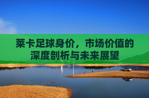 莱卡足球身价,市场价值的深度剖析与未来展望