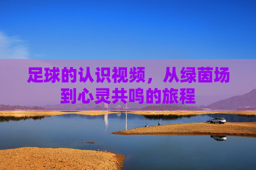 足球的认识视频，从绿茵场到心灵共鸣的旅程