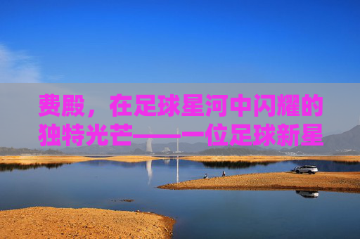 费殿,在足球星河中闪耀的独特光芒——一位足球新星的成长与绽放,费殿,在足球星河中闪耀的独特光芒——一位足球新星的成长与绽放