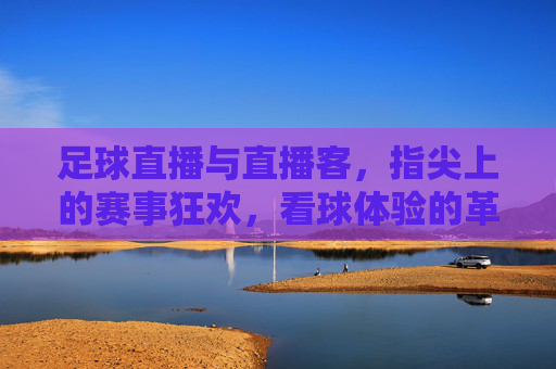 足球直播与直播客,指尖上的赛事狂欢,看球体验的革新者