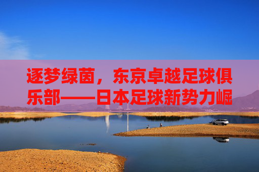 逐梦绿茵，东京卓越足球俱乐部——日本足球新势力崛起的象征