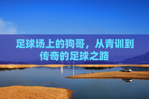 足球场上的狗哥,从青训到传奇的足球之路