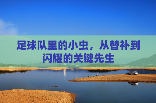 足球队里的小虫，从替补到闪耀的关键先生