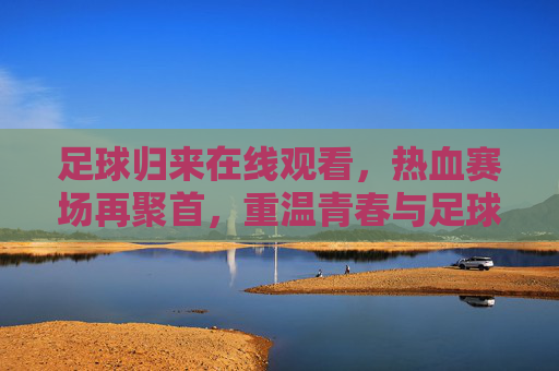 足球归来在线观看,热血赛场再聚首,重温青春与足球的激情碰撞