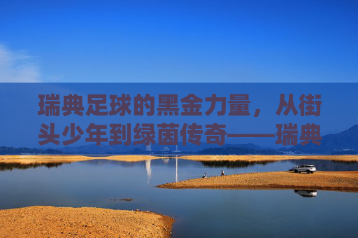 瑞典足球的黑金力量，从街头少年到绿茵传奇——瑞典黑人足球星的崛起之路