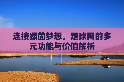连接绿茵梦想,足球网的多元功能与价值解析