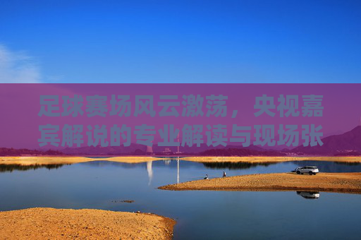 足球赛场风云激荡,央视嘉宾解说的专业解读与现场张力