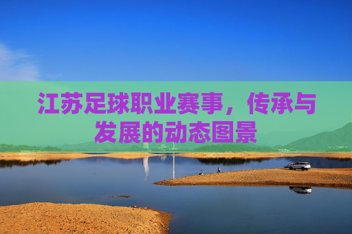 江苏足球职业赛事,传承与发展的动态图景