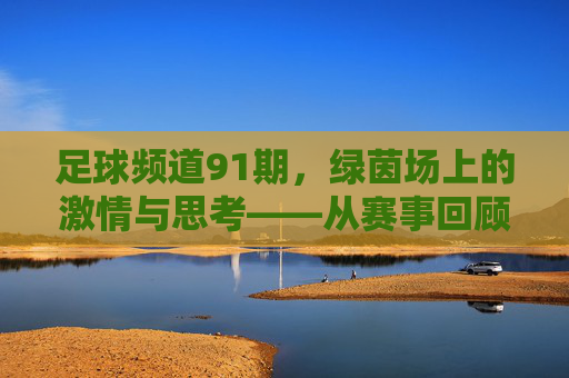 足球频道91期，绿茵场上的激情与思考——从赛事回顾到未来展望