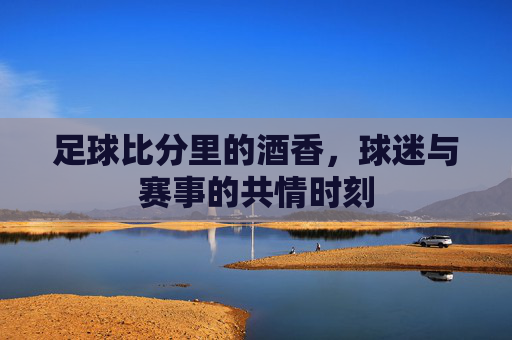 足球比分里的酒香，球迷与赛事的共情时刻