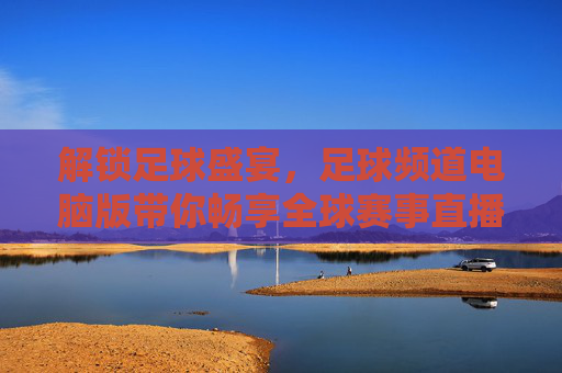 解锁足球盛宴,足球频道电脑版带你畅享全球赛事直播