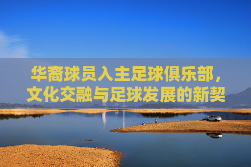 华裔球员入主足球俱乐部,文化交融与足球发展的新契机,华裔球员入主足球俱乐部,文化交融与足球发展的新契机