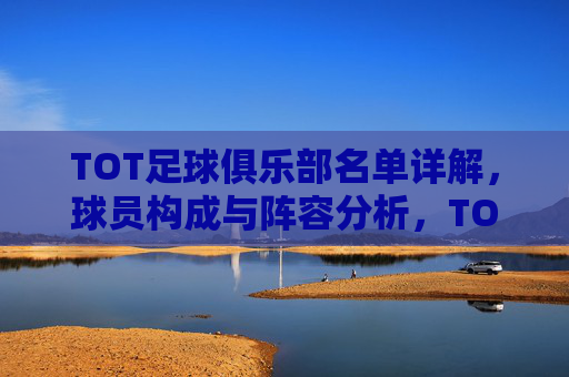 TOT足球俱乐部名单详解，球员构成与阵容分析，TOT足球俱乐部名单详解，球员构成与阵容分析