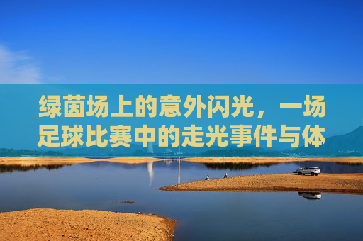 绿茵场上的意外闪光，一场足球比赛中的走光事件与体育精神的拷问，绿茵场上的走光事件，一场足球比赛中的意外与体育精神拷问