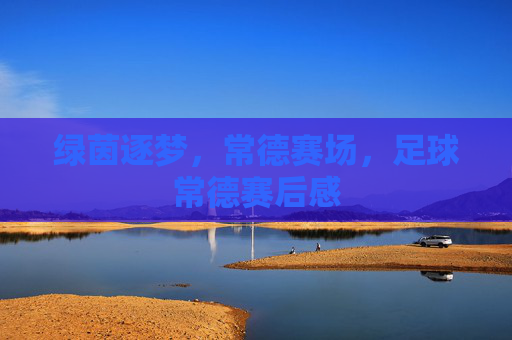 绿茵逐梦，常德赛场，足球常德赛后感