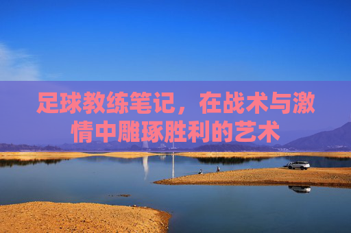 足球教练笔记,在战术与激情中雕琢胜利的艺术