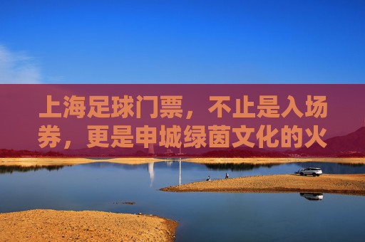 上海足球门票,不止是入场券,更是申城绿茵文化的火热印记