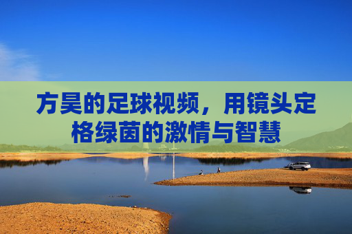 方昊的足球视频，用镜头定格绿茵的激情与智慧