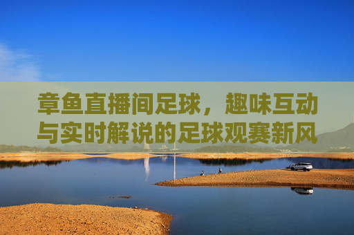 章鱼直播间足球,趣味互动与实时解说的足球观赛新风尚