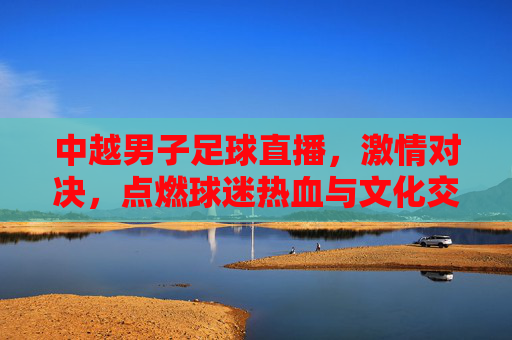 中越男子足球直播,激情对决,点燃球迷热血与文化交流的火花