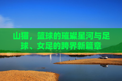山猫，篮球的璀璨星河与足球、女足的跨界新篇章