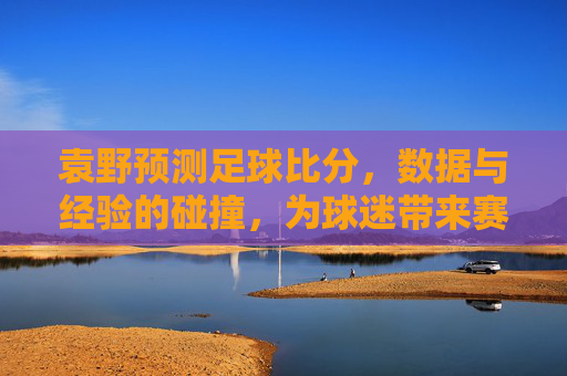 袁野预测足球比分，数据与经验的碰撞，为球迷带来赛事解读的全新视角
