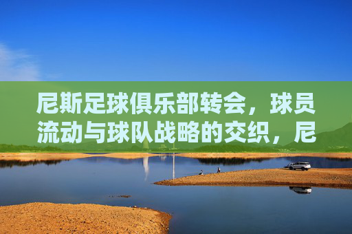 尼斯足球俱乐部转会,球员流动与球队战略的交织,尼斯足球俱乐部转会,球员流动与球队战略的交织