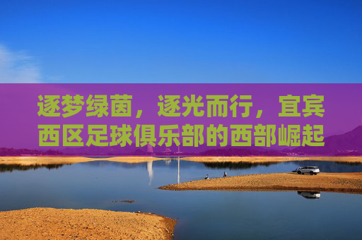 逐梦绿茵，逐光而行，宜宾西区足球俱乐部的西部崛起之路