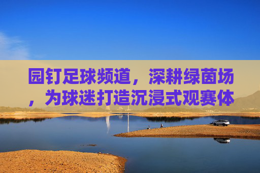 园钉足球频道，深耕绿茵场，为球迷打造沉浸式观赛体验