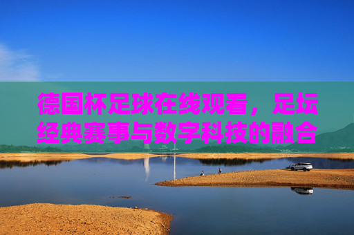 德国杯足球在线观看，足坛经典赛事与数字科技的融合之旅