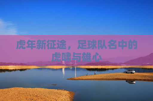 虎年新征途,足球队名中的虎啸与雄心