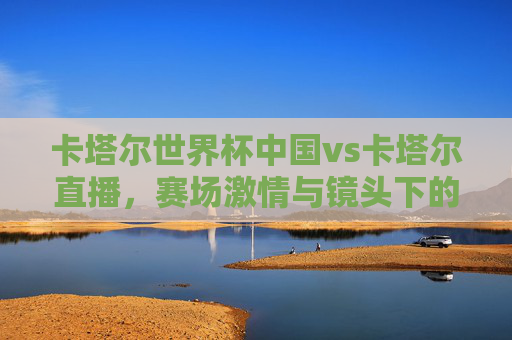 卡塔尔世界杯中国vs卡塔尔直播，赛场激情与镜头下的热血对决