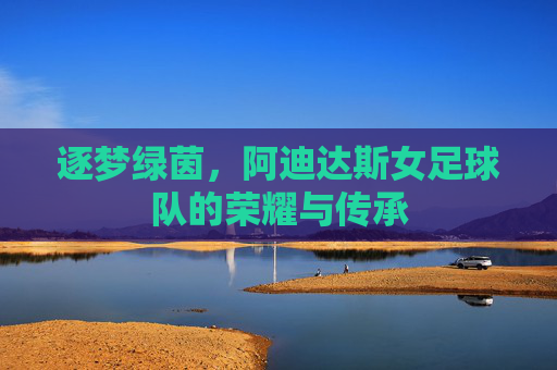 逐梦绿茵，阿迪达斯女足球队的荣耀与传承