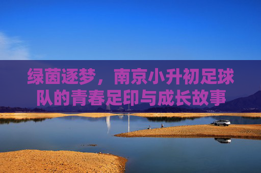 绿茵逐梦,南京小升初足球队的青春足印与成长故事