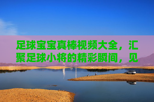 足球宝宝真棒视频大全，汇聚足球小将的精彩瞬间，见证成长与激情